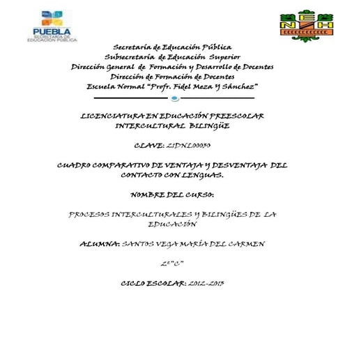 Ventajas y desventajas de hablar una lengua