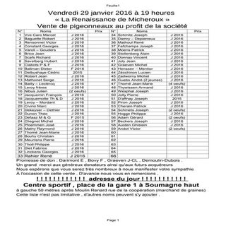 Vente de pigeonneaux renaissance 2016