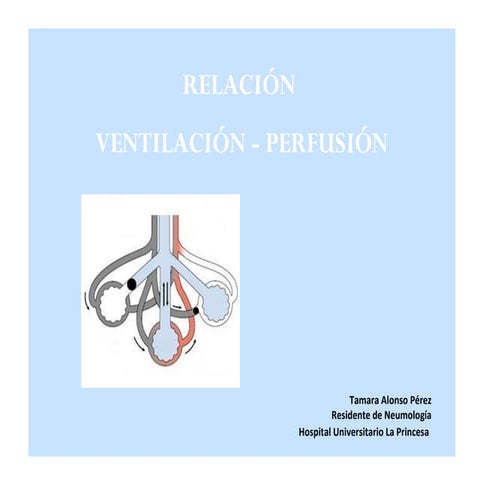 Ventilación perfusión
