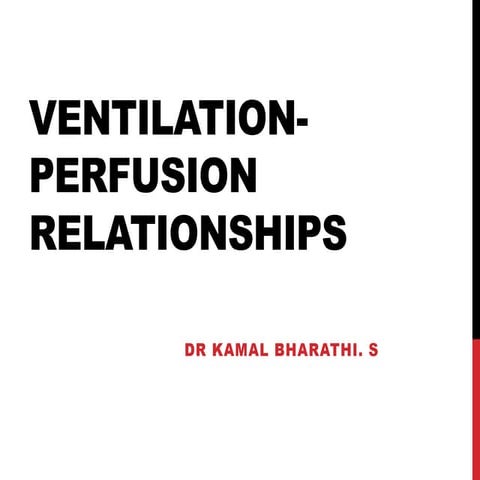 Ventilation  perfusion relationships