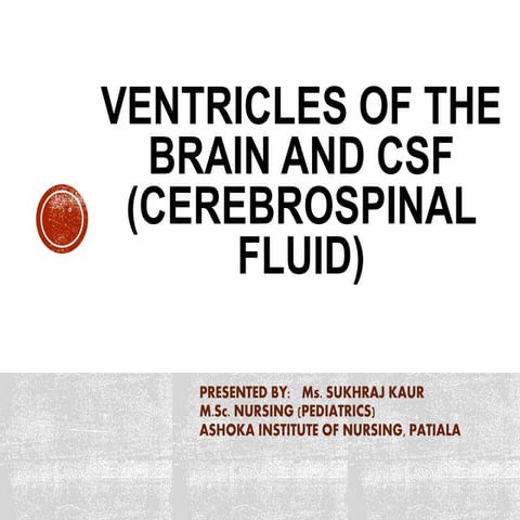 Ventricles and csf