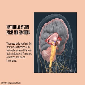 VENTRICULAR SYSTEM PARTS AND FUNCTIONS-1.pptx