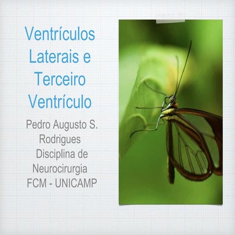 Ventriculos laterais e iii ventriculo