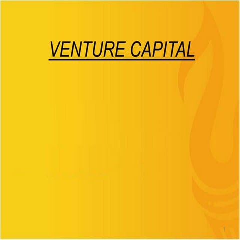 VENTURE CAPITAL .ppt