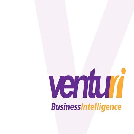 Venturi Business Intelligence Development Brochure