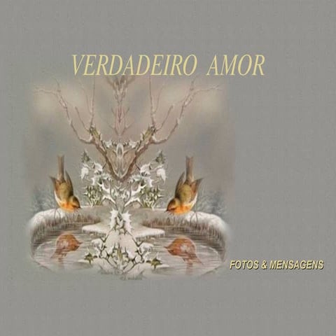 Verdadeiro Amor   2
