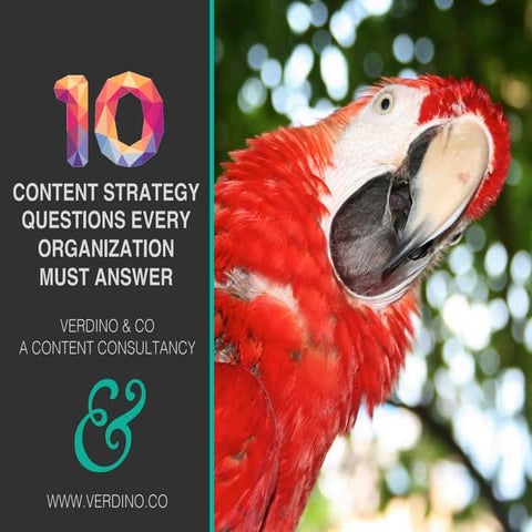 10 Content Strategy Questions Every Organization Must Answer - VERDINO & CO