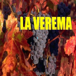 Verema