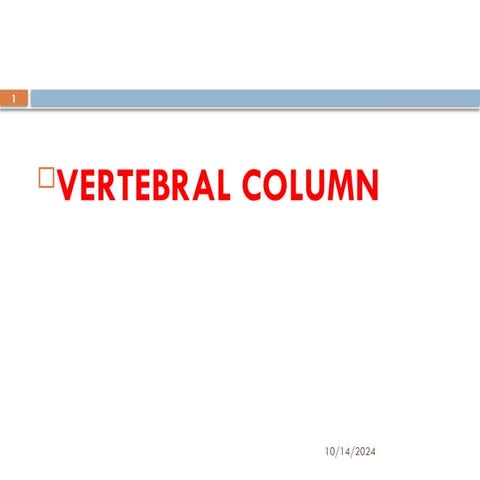 Veretebrea upper limb and lower limb.pptx