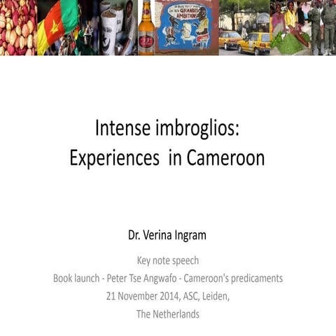 Intense imbroglios experiences  in cameroon