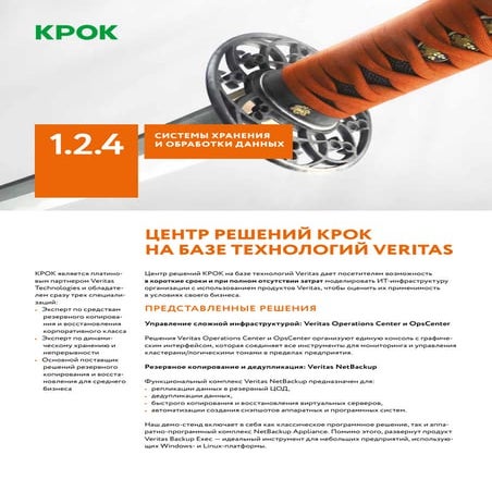 Центр решений КРОК на базе технологий Veritas