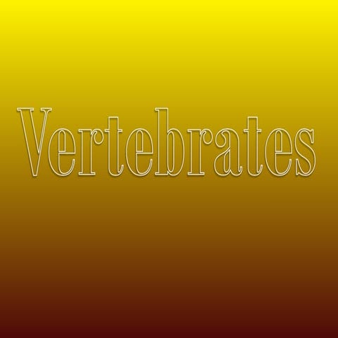 Veritbrates organisms