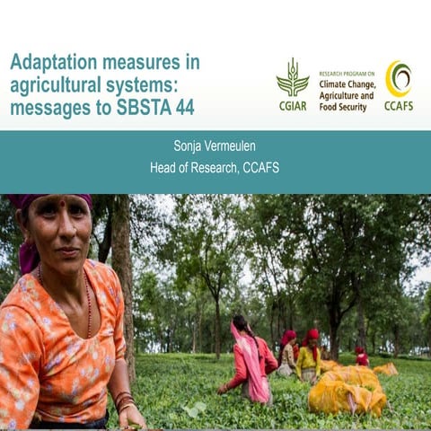 Adaptation measures in agricultural systems: Messages to SBSTA 44