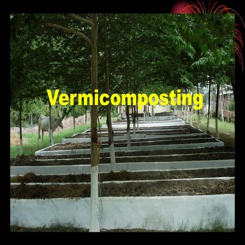 Vermicomposting preparation and its importance