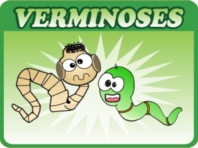 Verminoses
