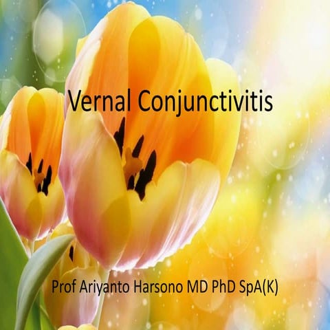 Vernal conjunctivitis
