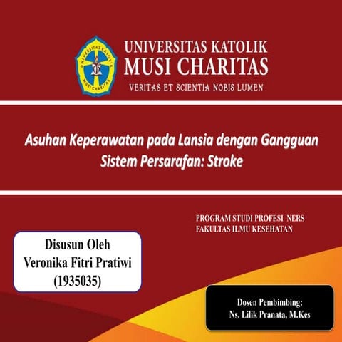 Asuhan Keperawatan pada Lansia dengan Gangguan Sistem Persarafan: Stroke
