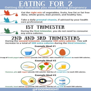 Eating for Two: Pregnancy and Nutrition