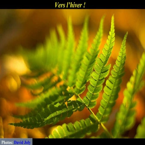 Vers l\'hiver