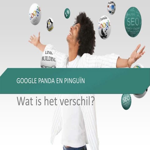 Verschil google panda en pinquin