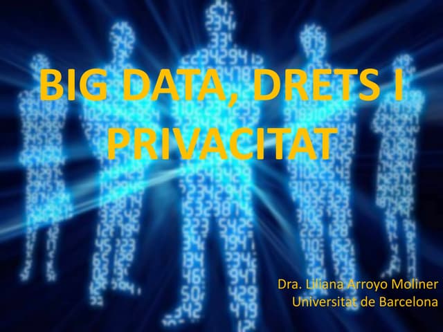 Versió reduida big data Liliana_arroyo