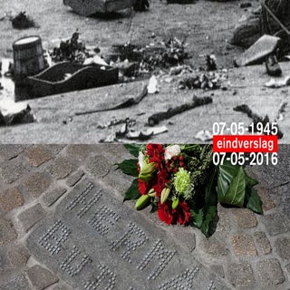 Verslag/report Plaatseensteen - 7 m...