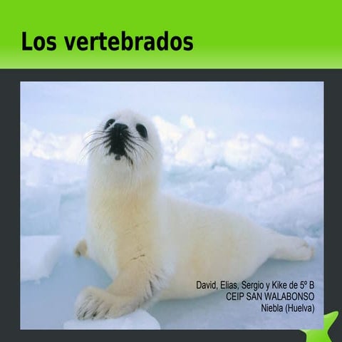 Animales Vertebrados