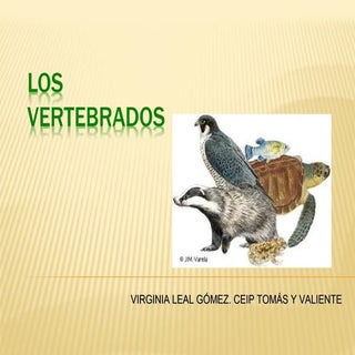 Vertebrados