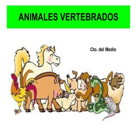 Vertebrados
