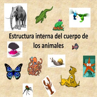 Vertebrados e invertebrados