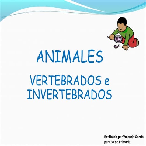 Vertebrados e invertebrados