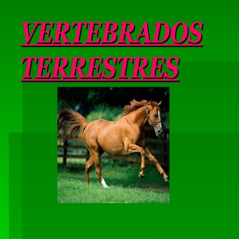 Vertebrados terrestres