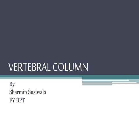 Anatomy of Vertebral Column