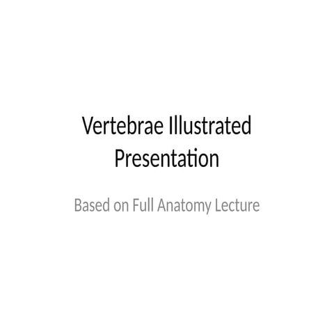 Vertebrae Illustrated Presentation with diagrams