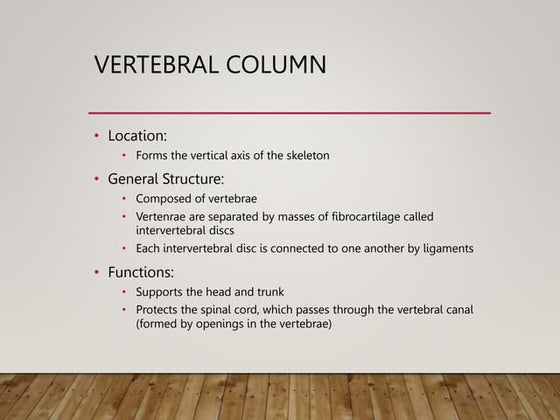 The vertebral column.pptx