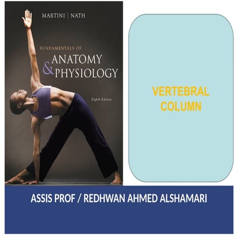 VERTEBRAL COLUMN and thoracic cavity .pptx