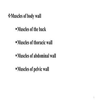 Back Muscles, superficial, intermediate, deep | PDF