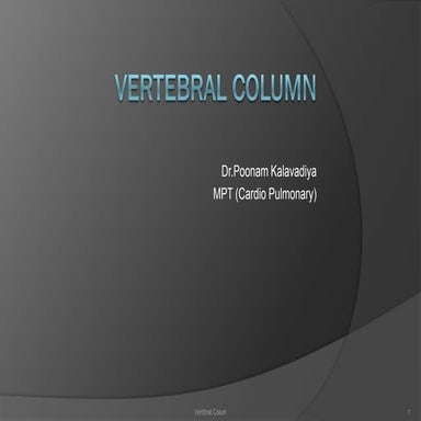 Vertebral Column
