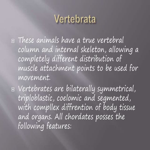 Vertebrates chordata chart | PDF