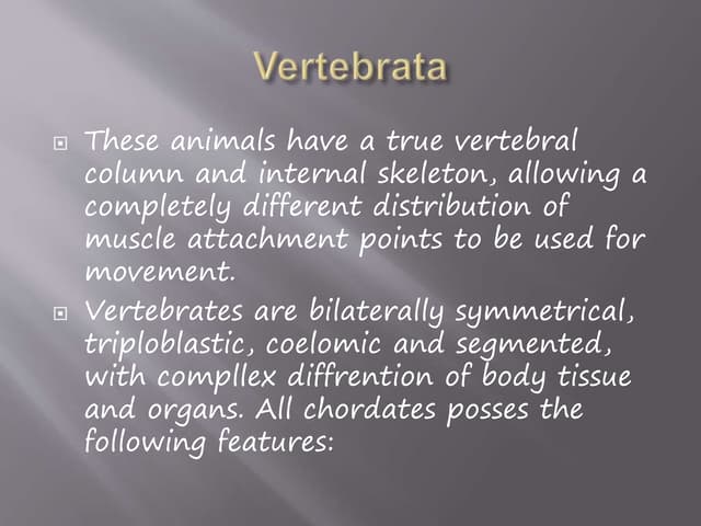 Vertebrates chordata chart | PDF