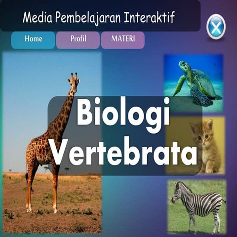 Vertebrata | PPTX