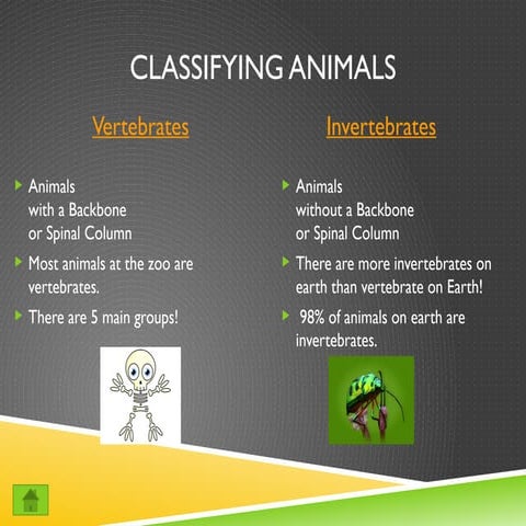 Invertebrates class ppt | PPT