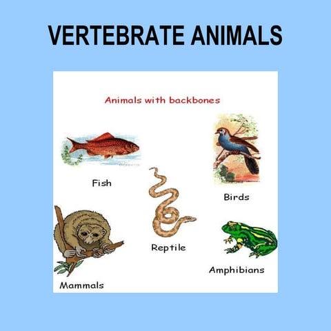 Vertebrate animals