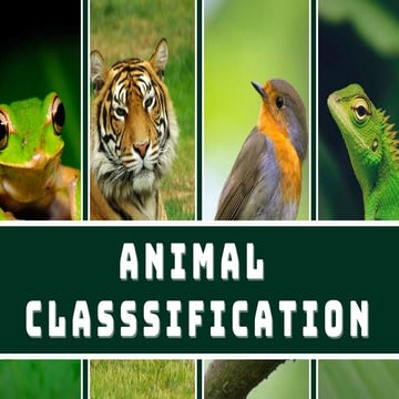 Vertebrate Animals, reptiles, birds, mammals, amphibian, fish