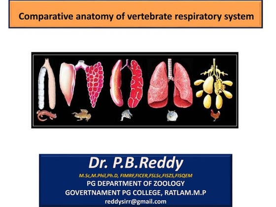 Comparative Anatomy of Respiratory System of Vertebrates | PPT