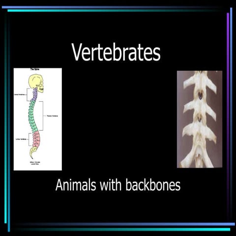 Vertebrates