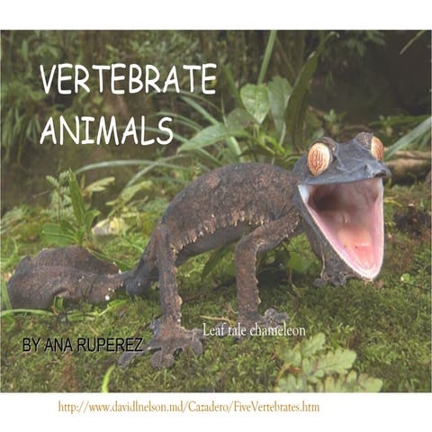 Vertebrates
