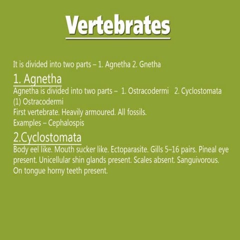 Vertebrates
