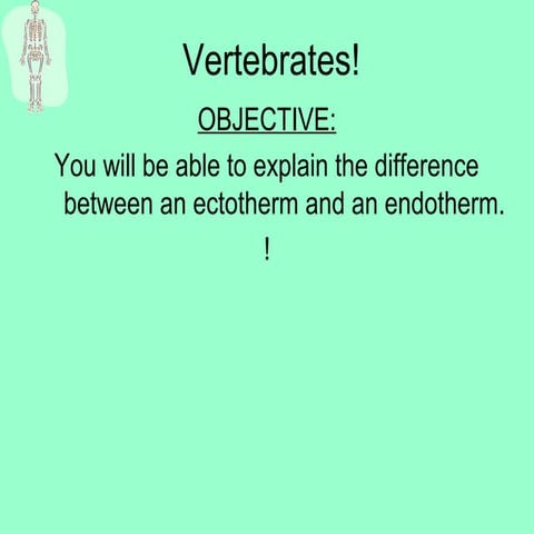 Vertebrates!