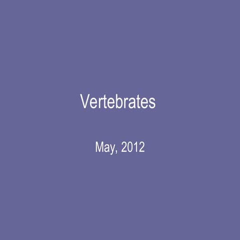 vertebrates GRADE 2 SCIENCE LESSON    .ppt